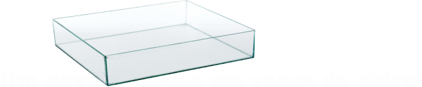 Bandeja de 12x12x5
