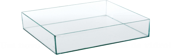 Bandeja de 20x20x5